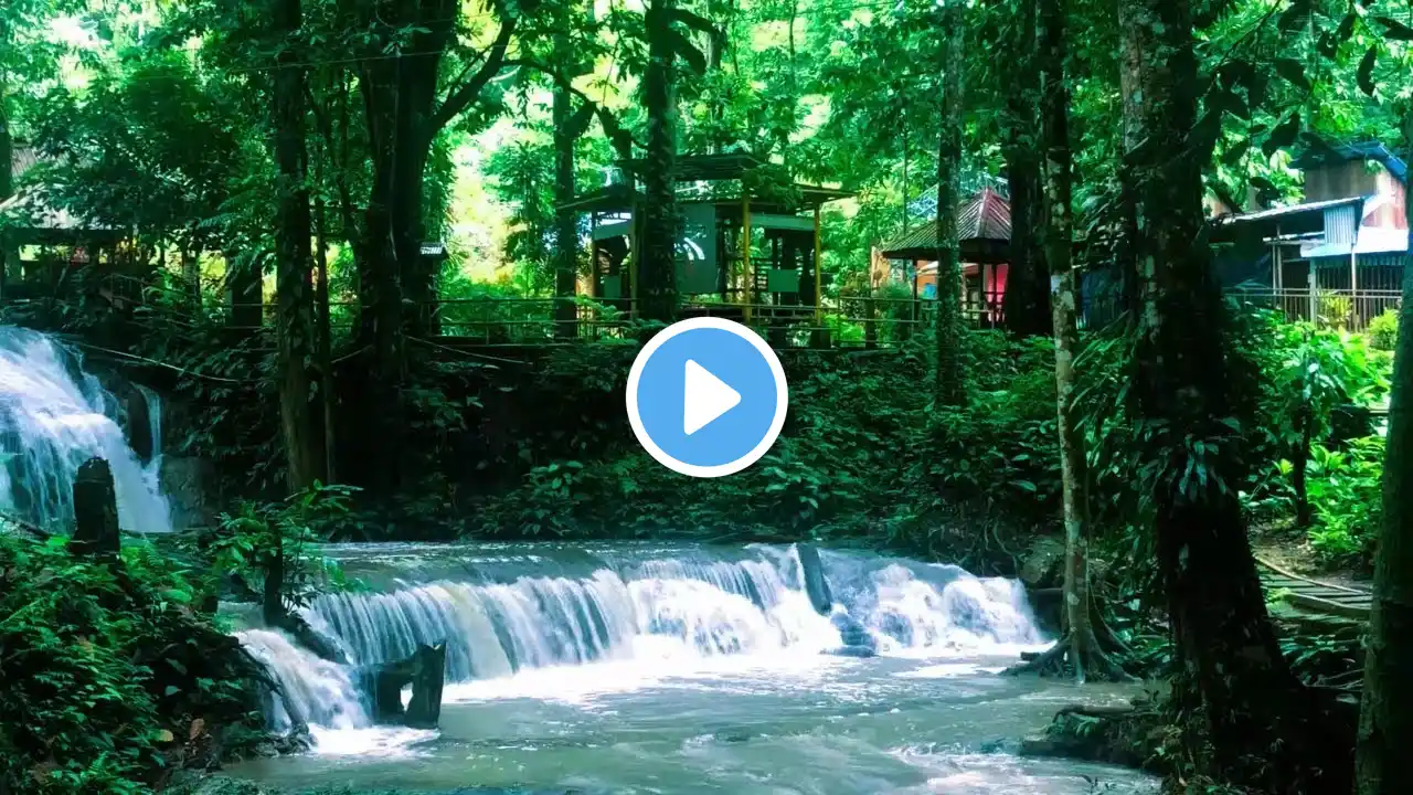 💧🎼 Healing Waterfall Piano Music for Meditation, Study Focus & Deep Sleep Therapy