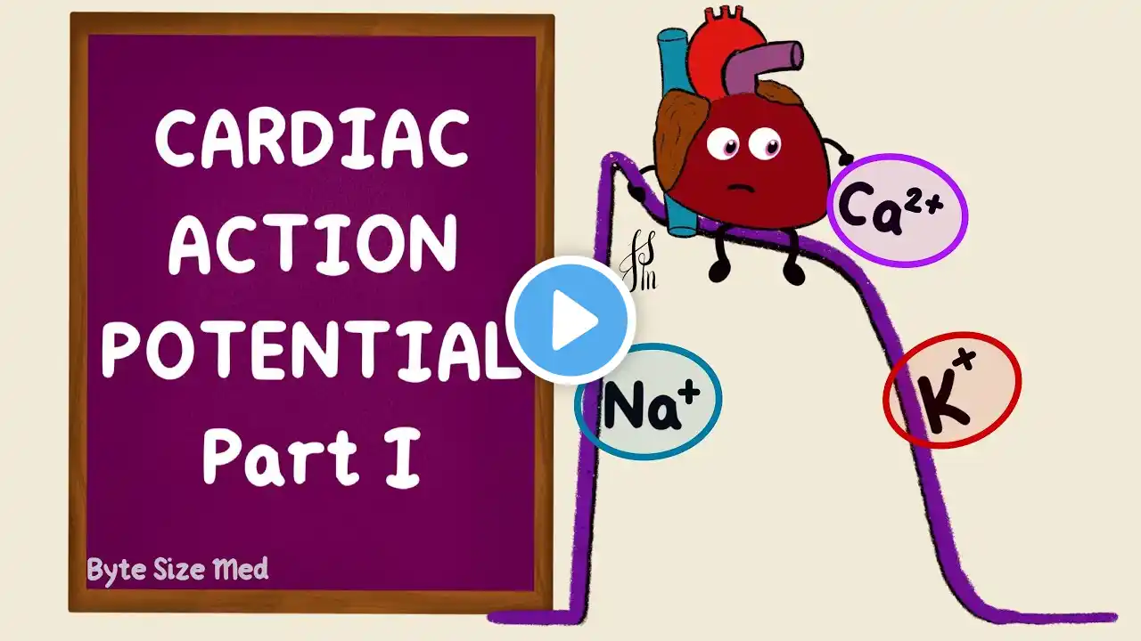 Ventricular Action Potential | Cardiac Action Potential | Part 1 | Phases | Cardiac Physiology