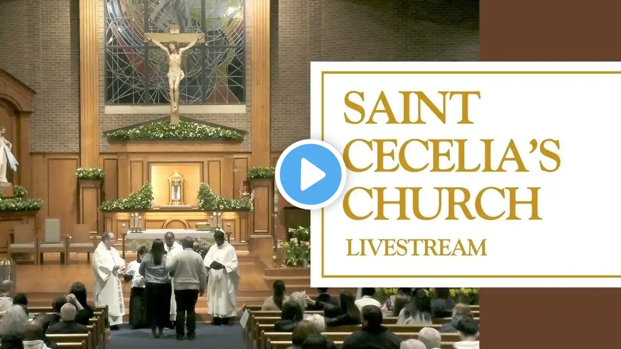 Daily Mass | Tuesday March 4, 2025 | The Eighth Week in Ordinary Time