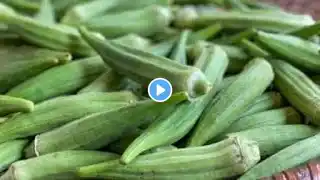 How to make OKRA | The viral OKRA WATER recipe | New Orleans okra stir fry recipe