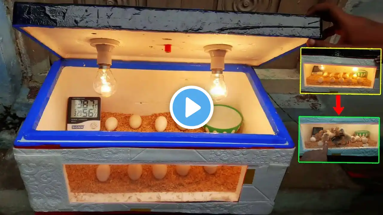 BEST Egg Incubator for Hatching Chicken Eggs - (Perfect For Small Homestead)