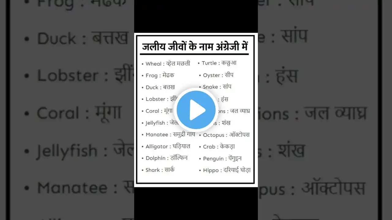 20 जलीय जीवों के नाम अंग्रेजी में | Water Animals Name in Hindi | पानी में रहने वाले जानवरों के नाम