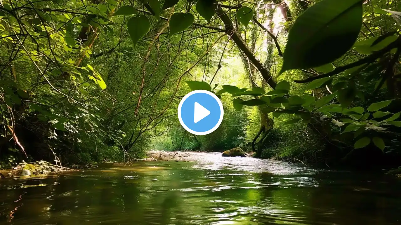 Soothing Nature Ambience | Forest Sounds, Birdsong & Soft Piano for Deep Relaxation