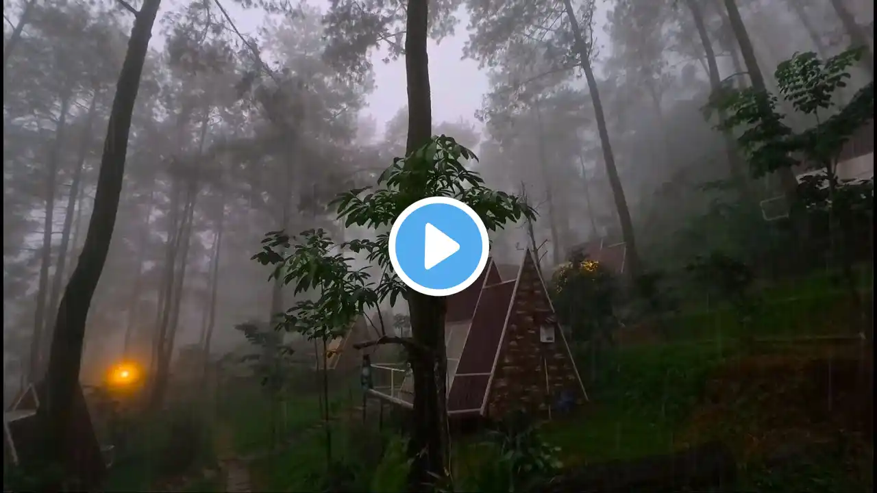 Sleep Hypnosis To Beat Insomnia With Terrible Rainstorm & Thunder in Pine Forest