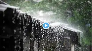 RAIN SOUND RELAXATION CREATES A COMFORTABLE ATMOSPHERE FOR INSOMNIA, ASMR