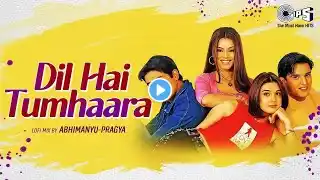 Dil Hai Tumhaara Lofi Mix | Preity Zinta, Jimmy | Alka Yagnik, Kumar Sanu, Udit Narayan | Love Song