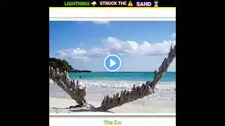 Lightning struck the ground 😱 #shorts #facts #factsinhindi #amazing #amazingfacts #dream#animals#top