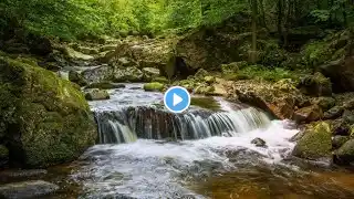 RELAXING RIVER SOUND WITH A WATERFALL TO RELIEVE STRESS, FOR SLEEP, FOR STUDYING, FOR YOGA