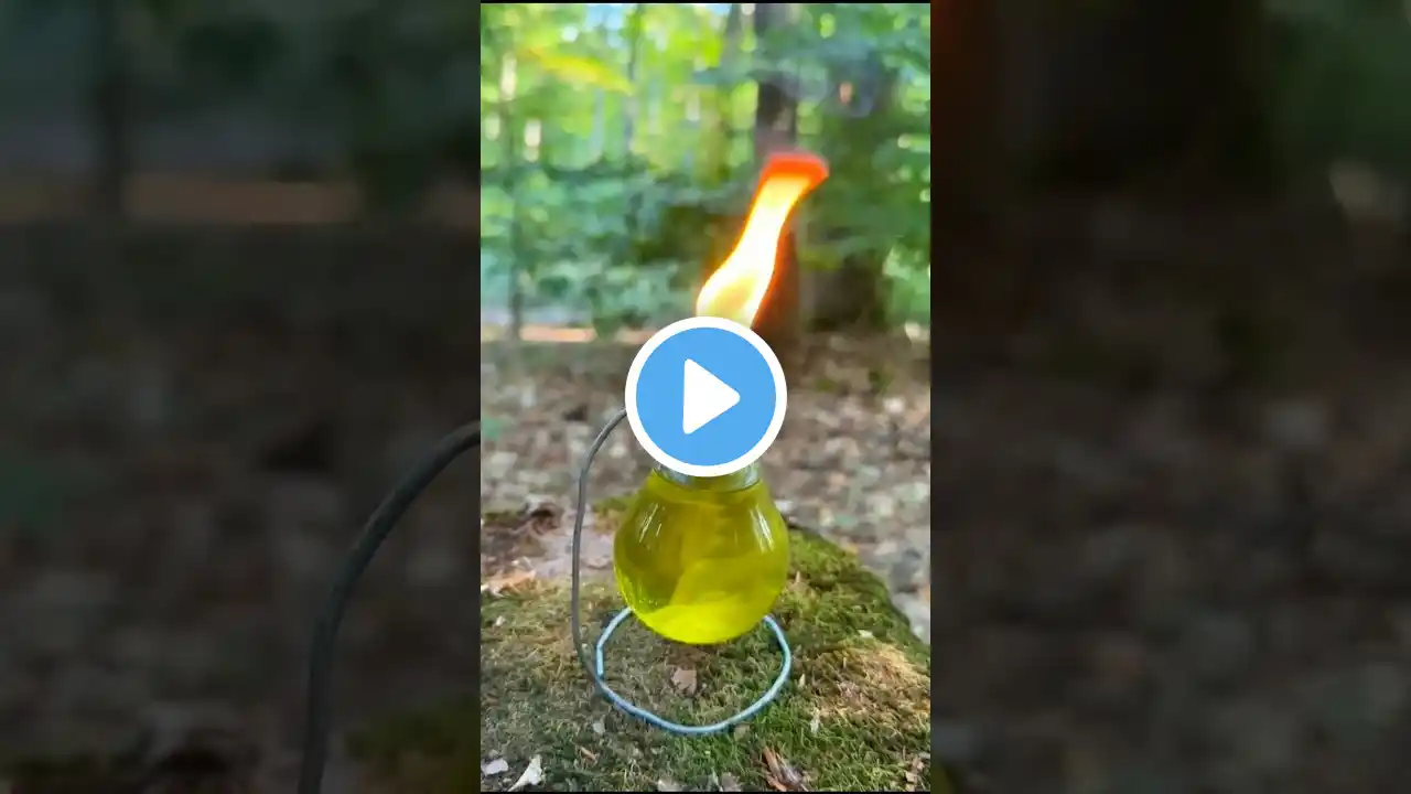 Survival Skills Make an oil lamp with your own hands. #survival#outdoors#camping #lifehacks