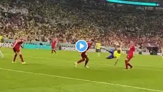 Richarlison's 2 super goals I Full Goals I Brazil  2-0 Serbia I World Cup 2022