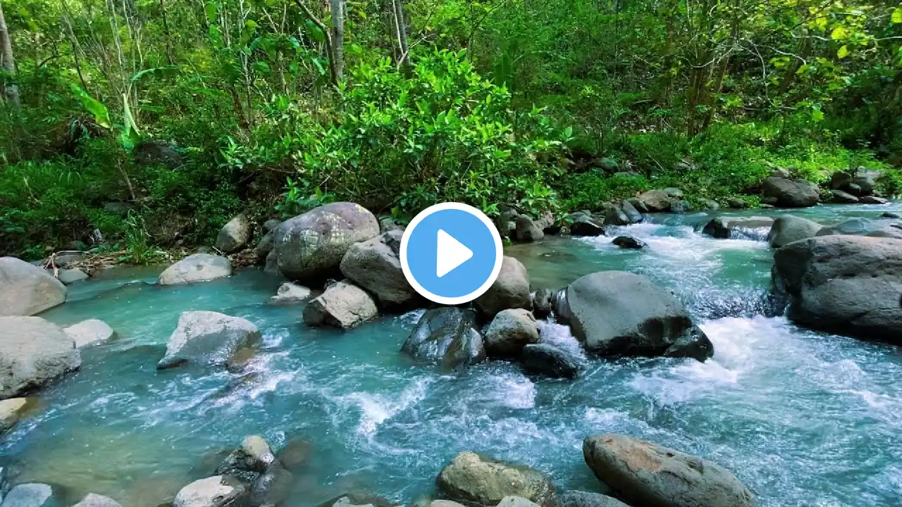 Mountain River Waterfall Flowing, Water Sounds, Nature White Noise. River Sounds for Sleeping 7