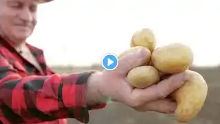 5 Surprising Health Benefits of Potatoes!