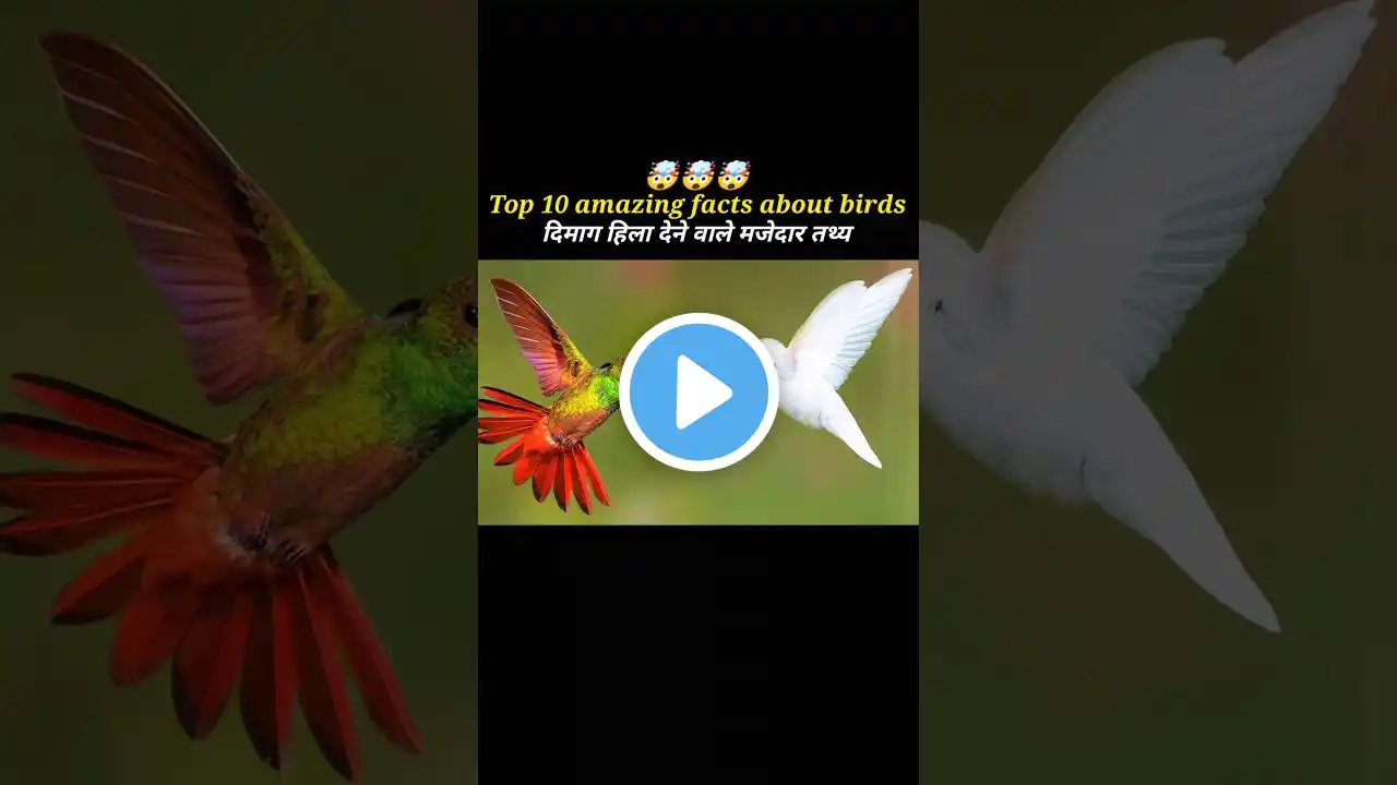 Top 10 amazing facts about bird 🐦 || दिमाग हिला देने वाले मजेदार तथ्य #facts #psychology #viral