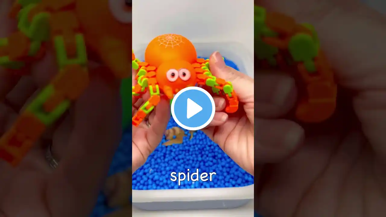 Bugs Surprise Eggs | Kids Learn Colors & Insect Names: Snail Mosquito Spider Praying Mantis Bee