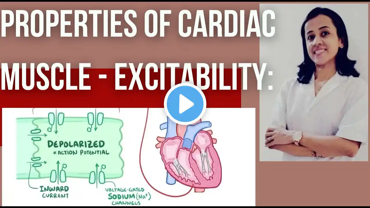 Properties of cardiac muscle - Excitability: