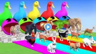 5 Giant Duck, Monkey, Piglet, chicken, dog, , Sheep, animals crossing funny animals fontaing 2023