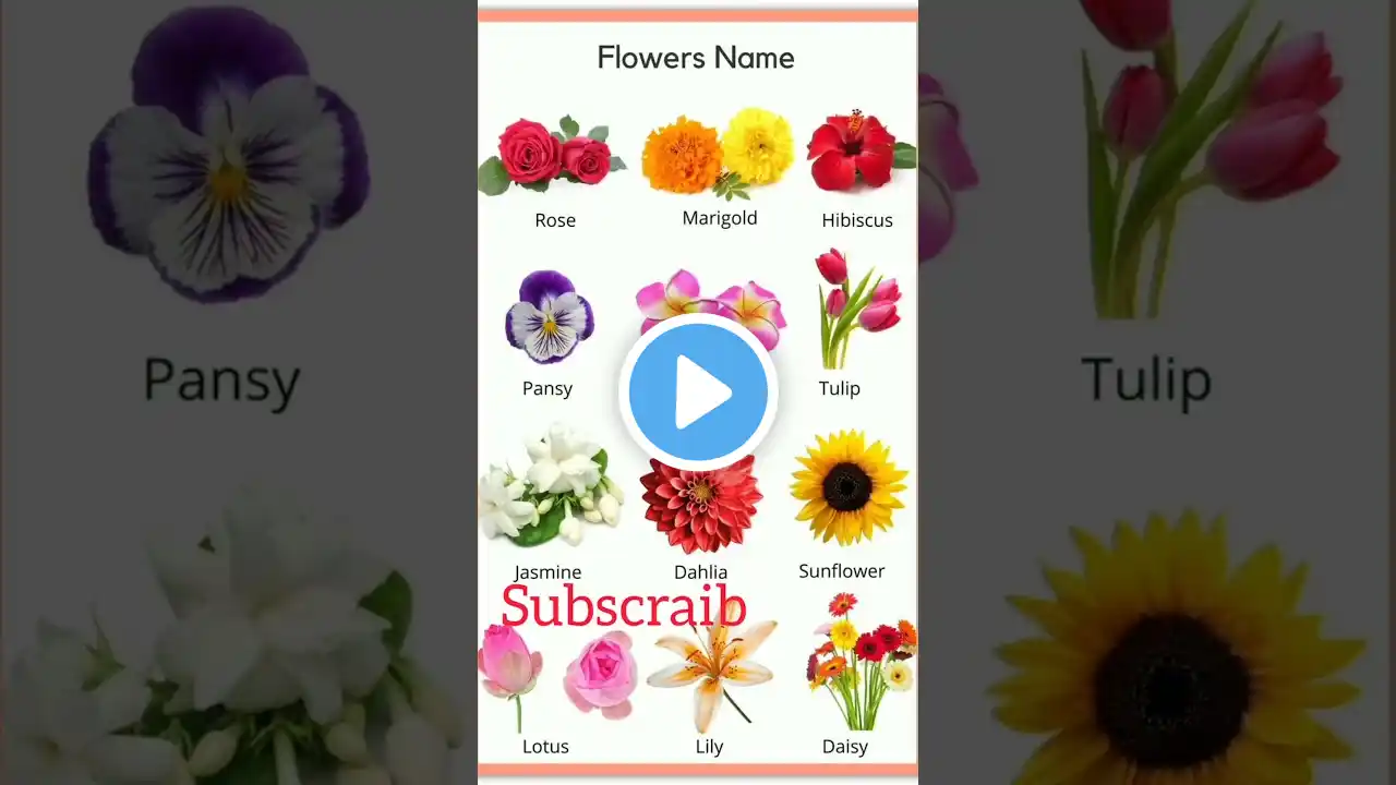 Flowers name in English and hindi | #flowersname #shorts #viral #vocabulary