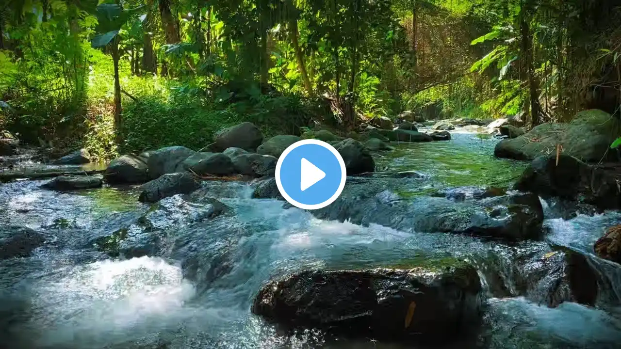 Gentle River Flow and Nature’s White Noise – Serene Water Sounds to Help You Sleep Faster and Yoga