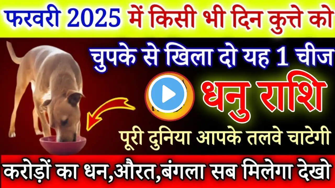 धनु राशि 1 से 27 फरवरी, कुत्ते को खिलादो यह 1 चीज बिना कुछ करे 7 पुश्ते धन खाएगी /Dhanu Rashi