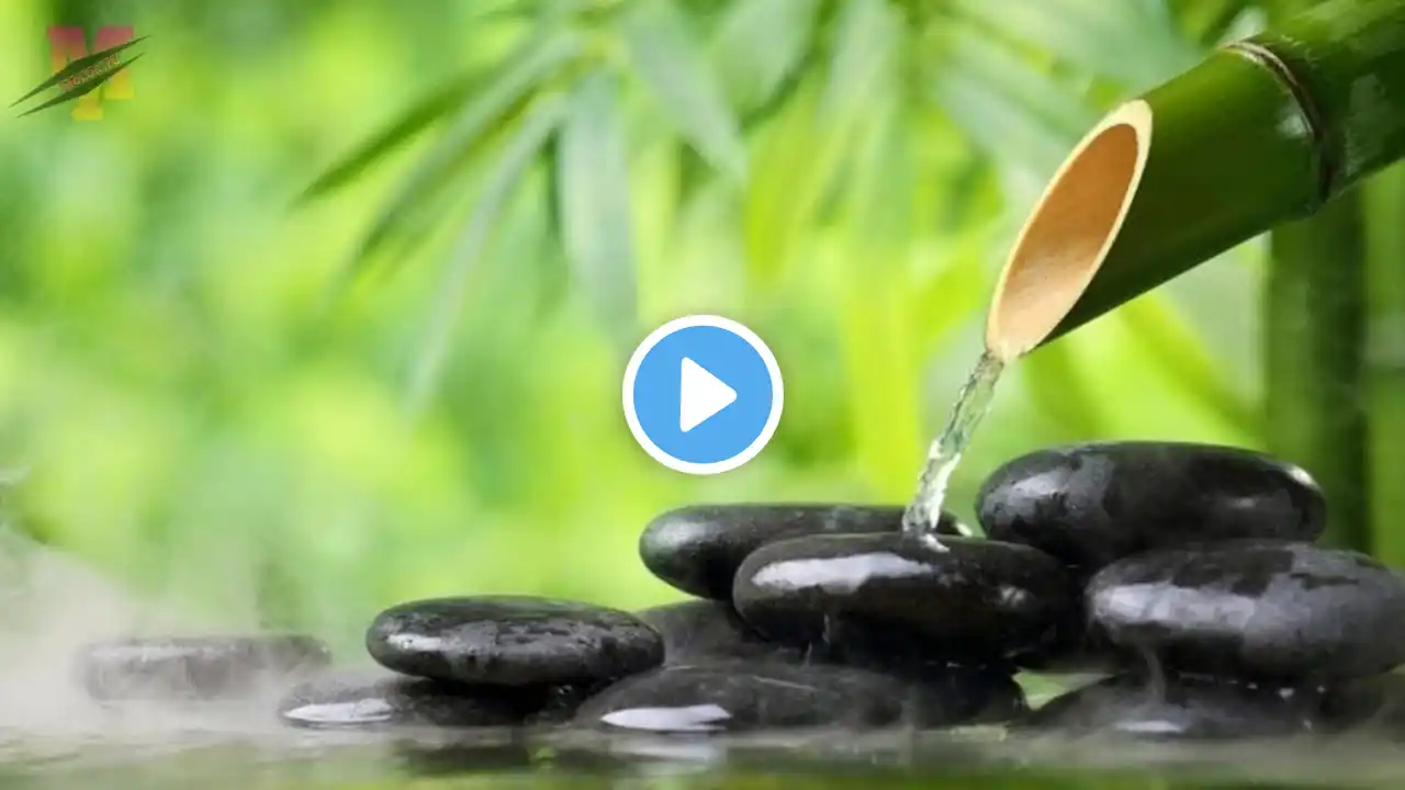 Relaxing Piano Music & Water Sounds • Meditation Music, Relaxing Music, Bamboo, Nature Sounds