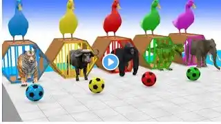 Fountain Crossing Transformation Animal Cartoon Paint & Animals Mammoth,Gorilla,Lion,Duck,Cow,Panda