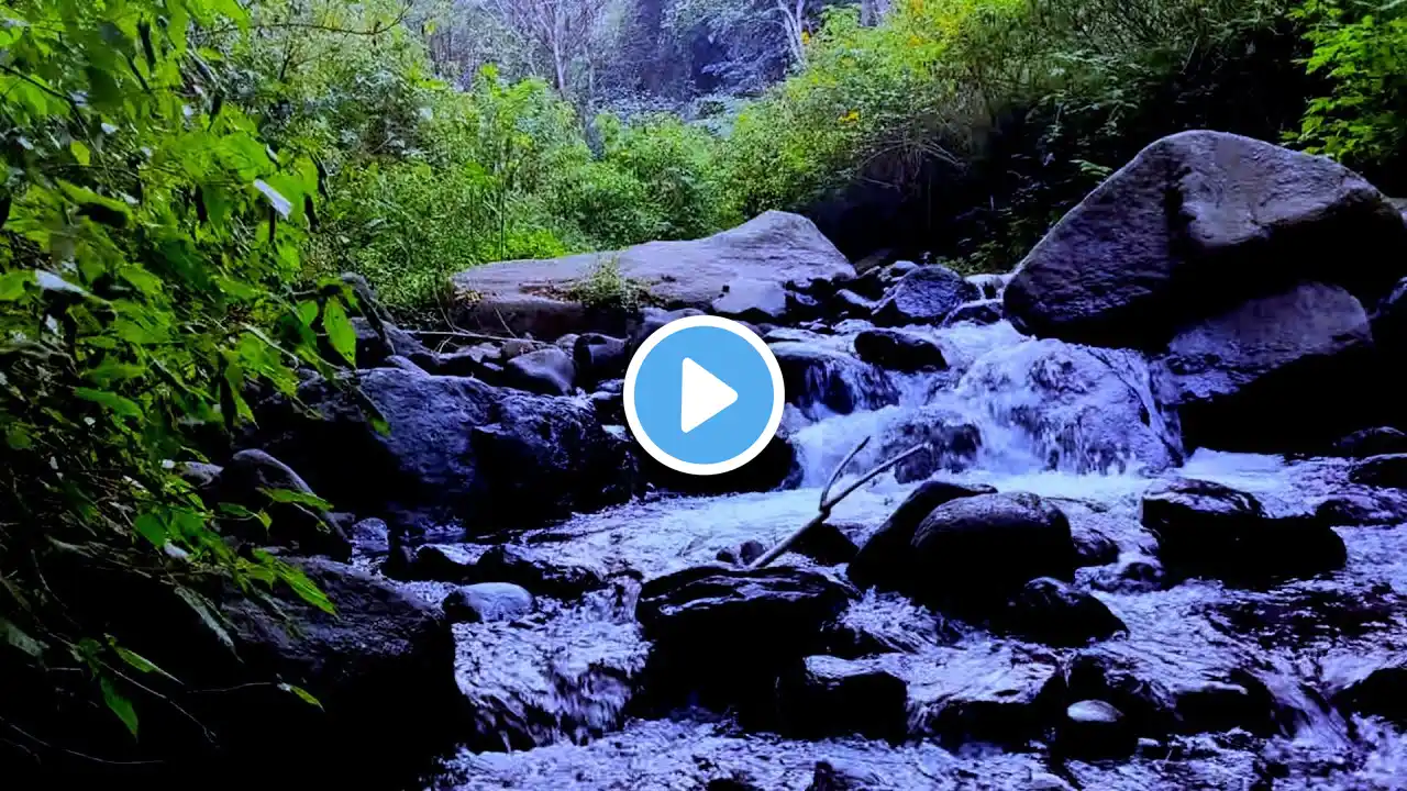 water sounds for sleeping, soothing music with birds chirping to deep sleep