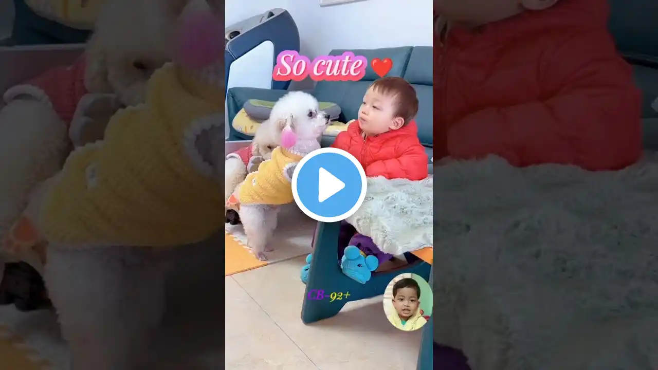 Cute 🤓❤️ #shorts #cute #cutebaby #dog #shortvideo