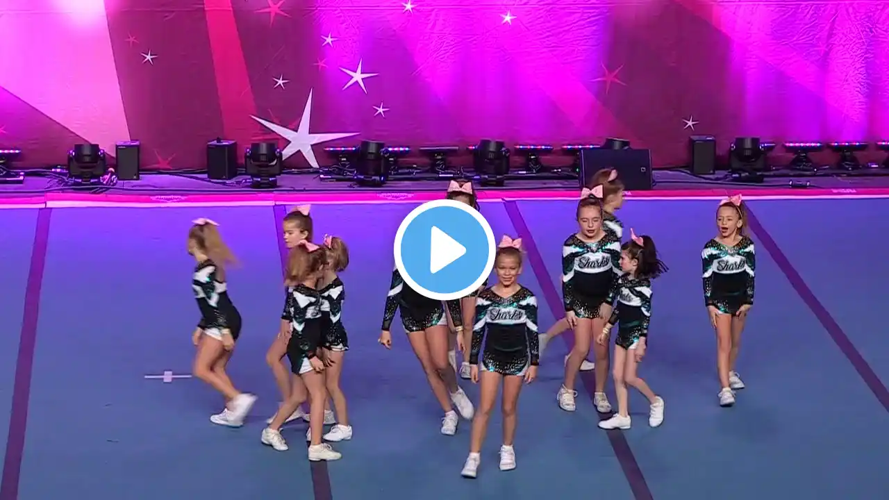 Cheer Sport Smalltooth Sharks   Mini X Small 1