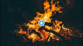 Cozy Ambience, Cozy Corner Ideas for Your Backyard Fire Pit