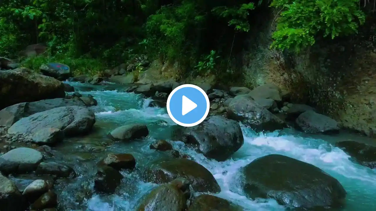 Gentle River Stream Calming Nature White Noise for Deep Sleep Meditation and Stress Relief