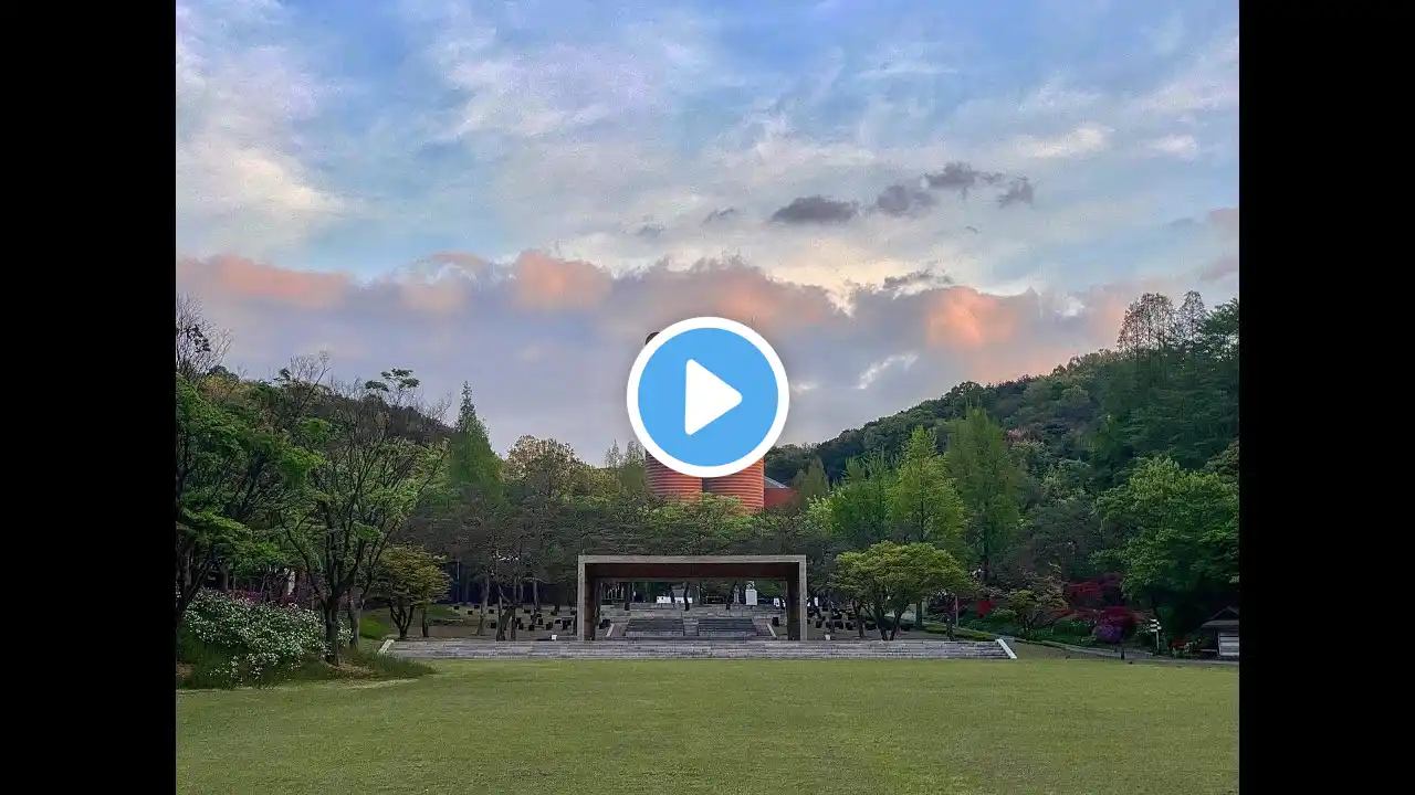 남양성모성지 / 2021. 12.  8 / 한국 교회의 수호자, 원죄 없이 잉태되신 복되신 동정 마리아 대축일 / 묵주기도,  미사, 성시간 / 실시간