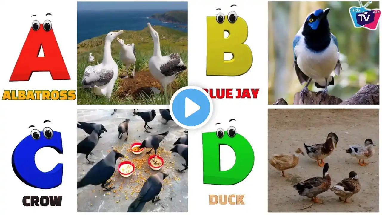 Birds Alphabet Song for Kids | Phonics for Kids | Learn English Alphabet Letters