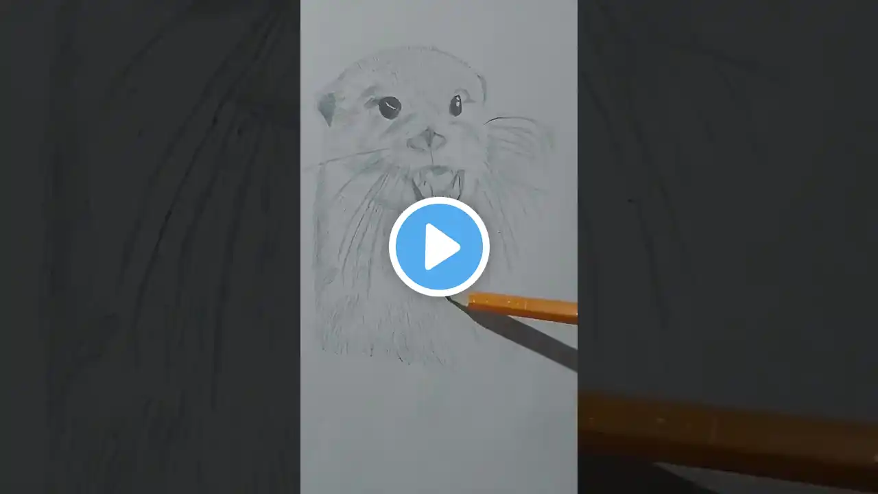 Otter #animals #cuteanimals #pets #drawing #sketch #shorts #otter