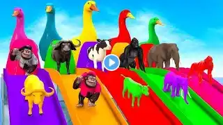 Paint & Animals Mammoth,Gorilla,Tiger,Duck,Cow,Lion Fountain Crossing Transformation Animal Cartoon