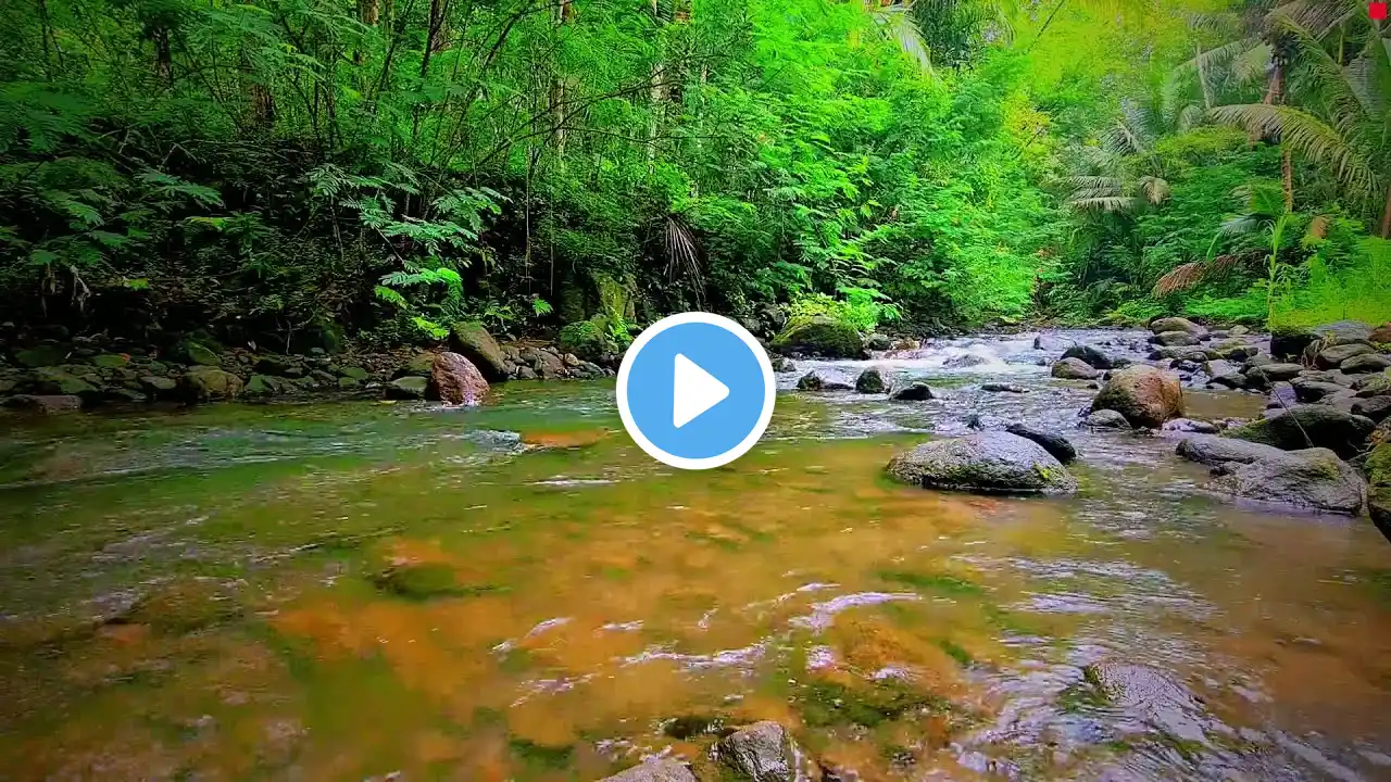 Mountain stream flowing, Forest river stream, Flowing water, white noise for sleeping