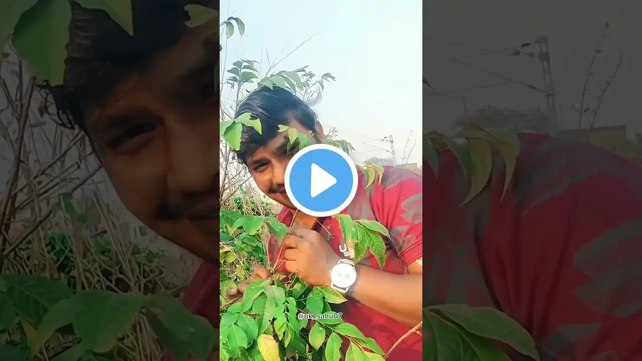 Wait for the end 🤣😂 #uksahu07 #funnyvideos #comedyvideos #trending #explorepage #shortfeed #shorts.