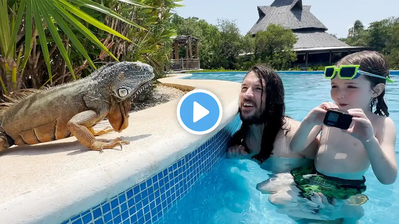 CRAZY POOLS and ANiMALS in MEXiCO!! Family Vacation visiting Cancun with Mom Adley Niko Navey & Mom