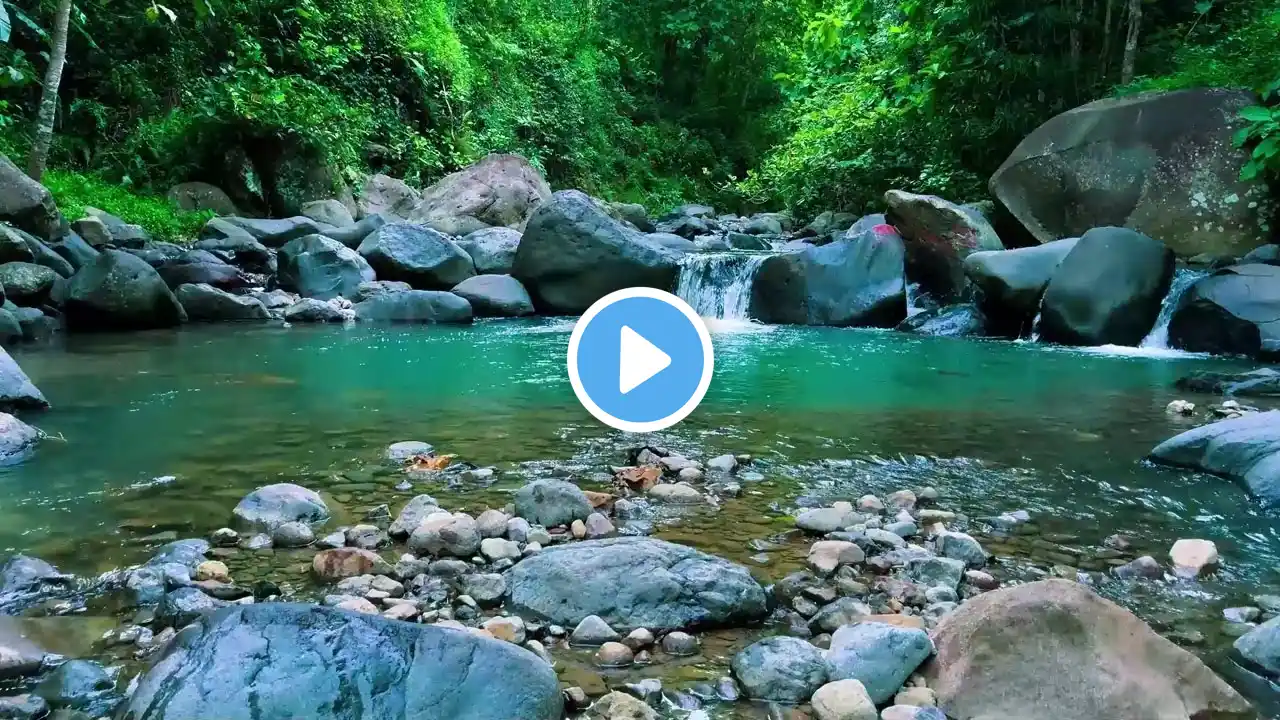 Mountain Stream River Sound Nature Sounds Water Sounds White Noise for Sleeping Bliss