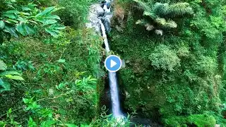 Forest Stream Relaxing Waterfall Sounds to relieve stress, for sleep, for studying, for yoga