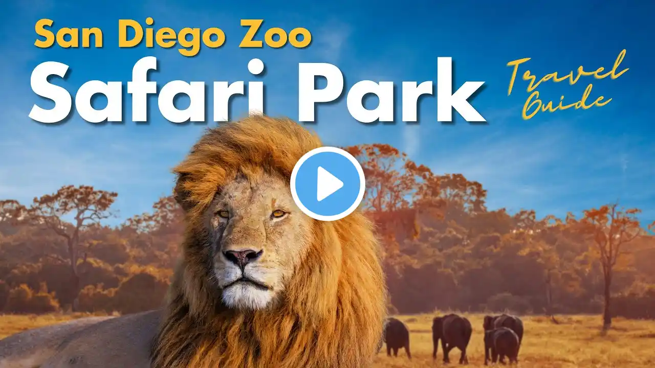 San Diego Zoo Safari Park - Best Things to Do in 2024