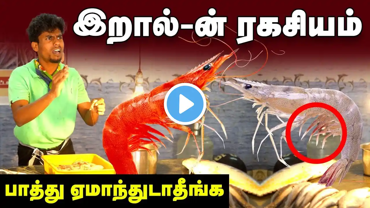 Health Benefits : நல்ல இறால் வாங்குவது எப்படி | fresh Prawn in Tamil | prawn buying in Tamil