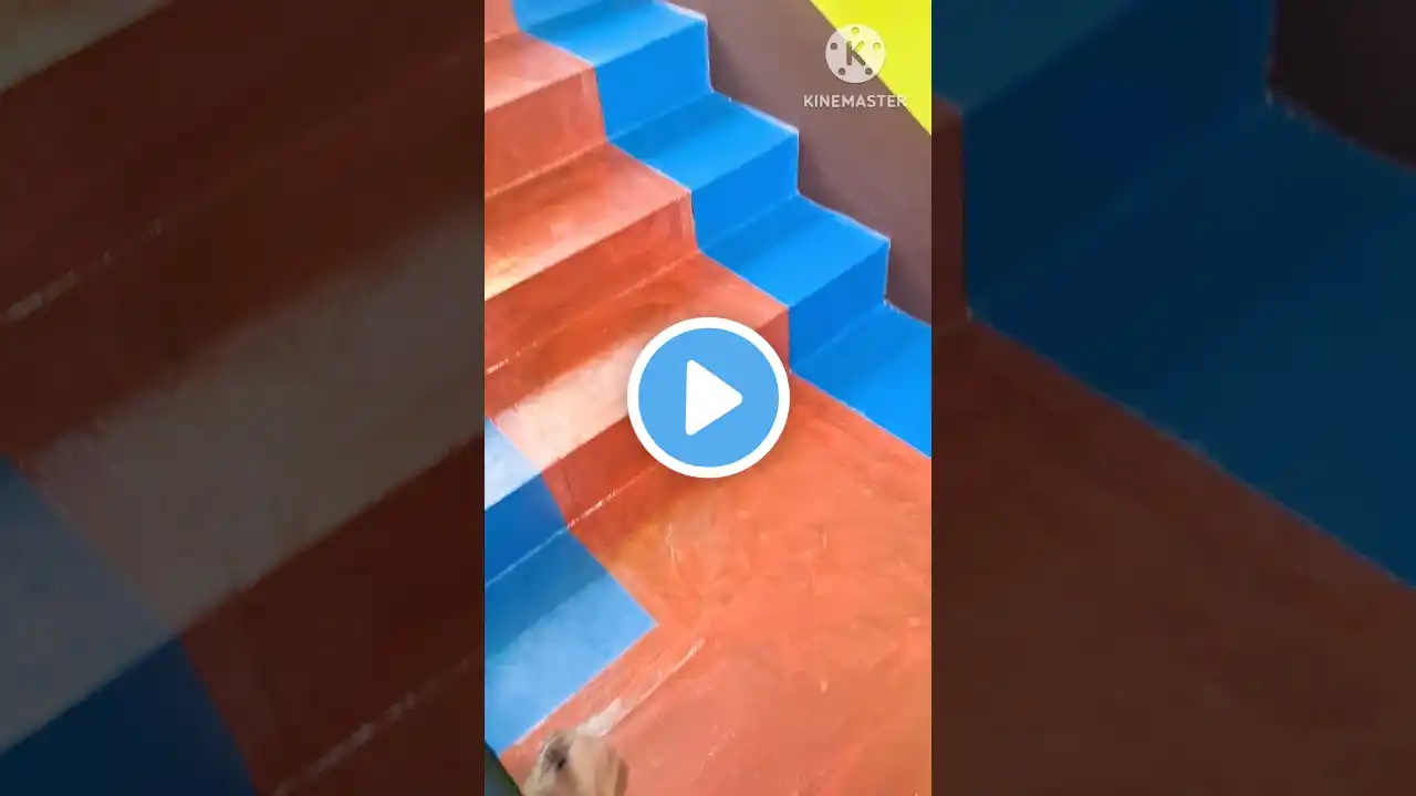 FLOOR PAINT colour APPLY #shorts #viral #painting #wallpaint #design #yt #reels #trending #paint