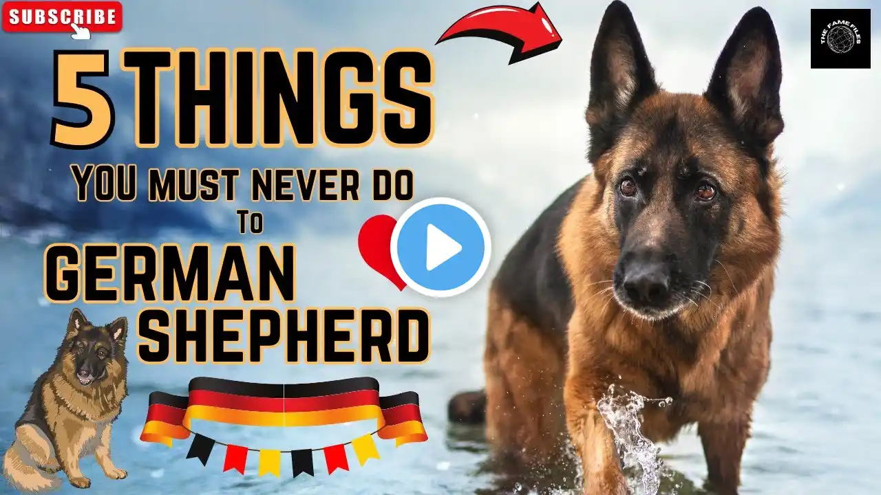 5 Things You Should Never Do to a German Shepherd | Expert Tips #germanshepherd