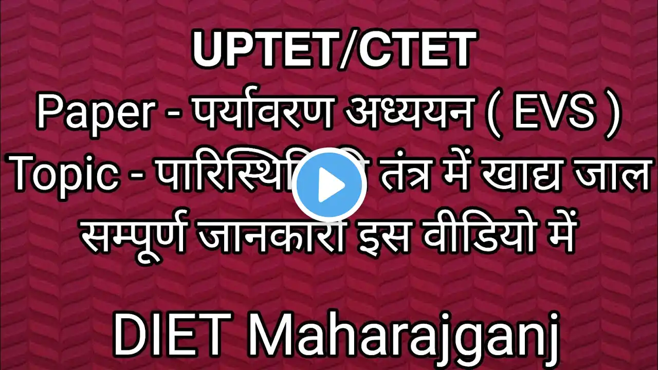 Paristhitiki Tantra Me khadya Jal | पारिस्थितिकी तंत्र में खाद्य जाल | पर्यावरण अध्ययन | UPTET/CTET