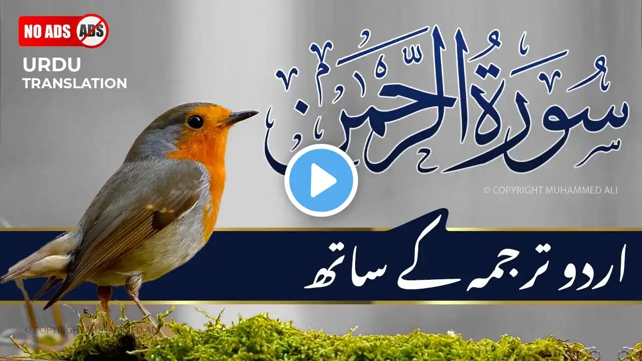 Surah Rahman Tilawat Urdu Tarjuma Full | Episode 130 | Qari Al Sheikh Abdul Basit Abdul Samad