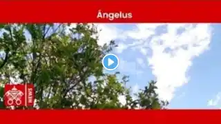 January 12 2025 Angelus prayer - Pope Francis ll Repetition