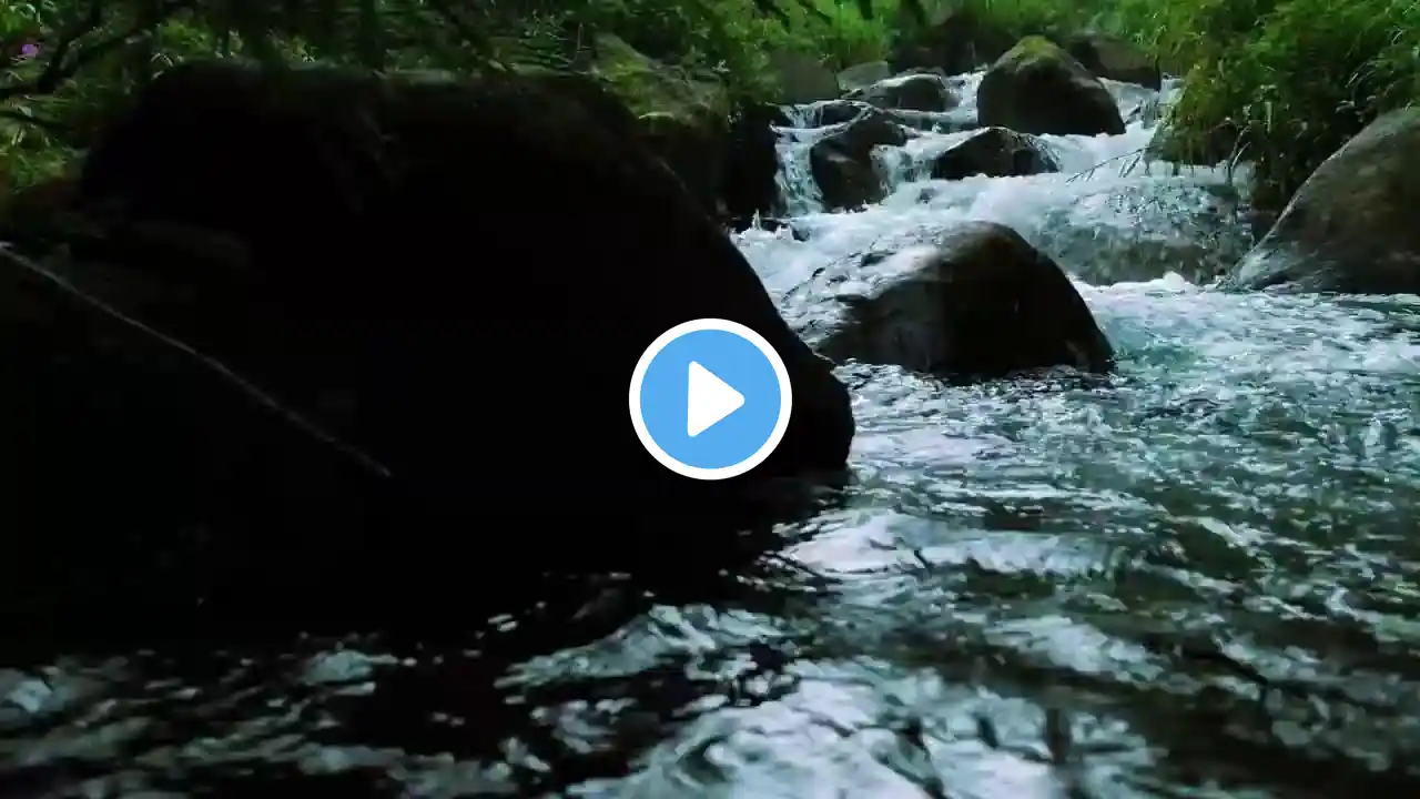 Deep Sleep Nature Sounds | Gentle River Flow & Forest Birds Chirping ASMR Live for Relaxation