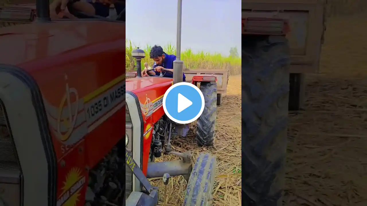 Massey king 👑 Ferguson 💖 farming 🌾#shorts #farming #shortvideo #nishudashwal #youtubeshorts