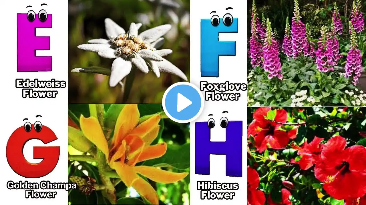 ABC Flowers Song | Alphabet Song | Learn English, Alphabets and Flowers #abcd