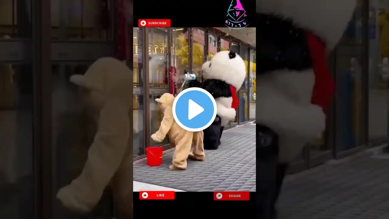 crazy bear throw water for cute panda 😆 | funny video | comedy video | cartoon #fun #trending #viral